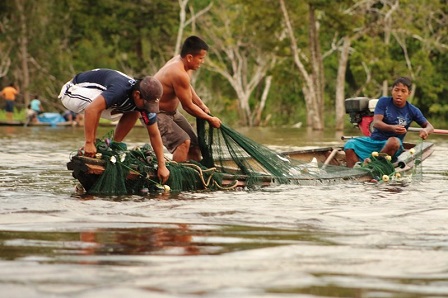 CUENCA BAJA DEL UCAYALI SERÁ REPOBLADA CON PECES AMAZÓNICOS